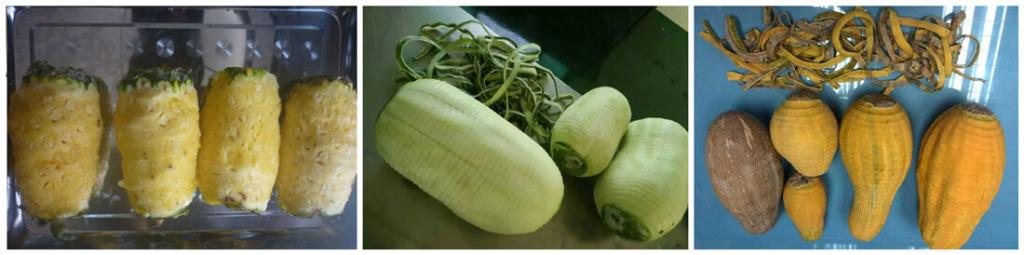 Fruit Peeling Machine 2