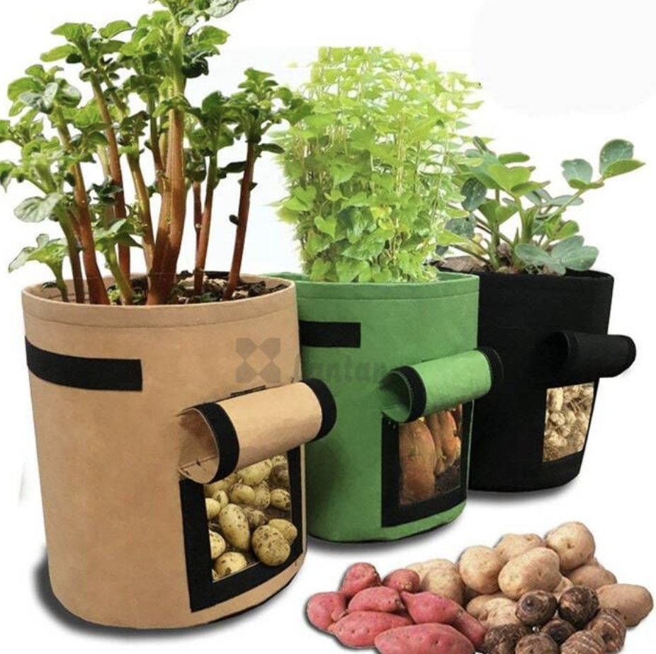 Felt Potato planting pots/bags with many colors 4