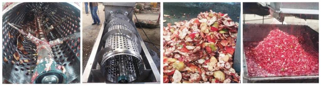 Pomegranate Peeling& Crushing Machine 3