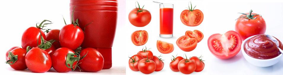 Tomato Paste Production Line 4