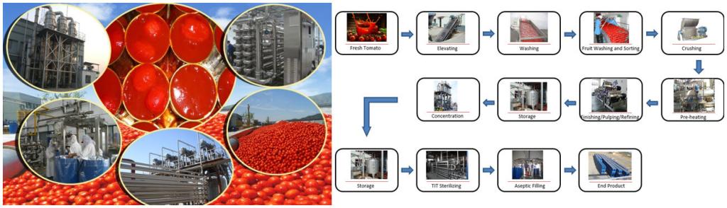 Tomato Paste Production Line 2
