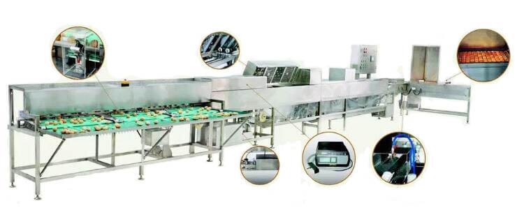 Automatic Egg Cleaning Grading Machine 3