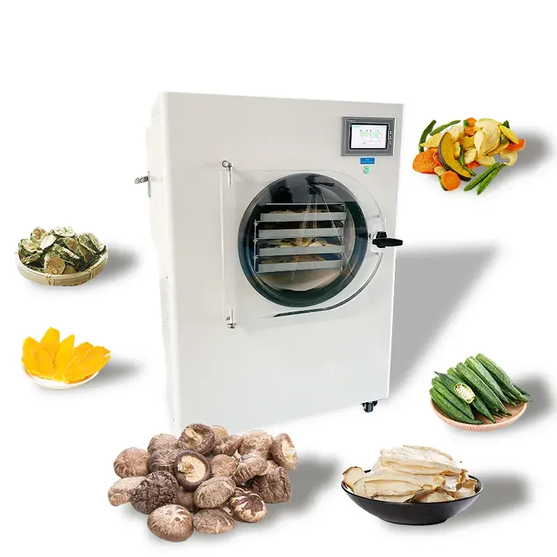 Small Vegetable Freeze Dryer  6