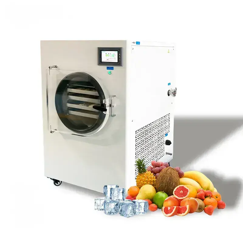 Small Vegetable Freeze Dryer  1