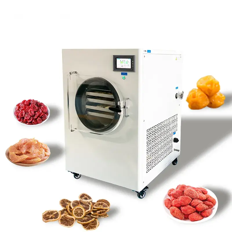 Small Vegetable Freeze Dryer  3