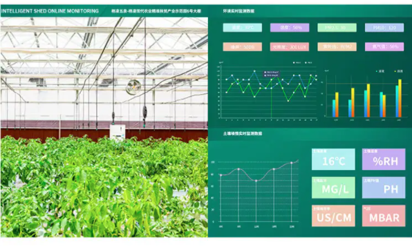 Smart Greenhouse Solution 2