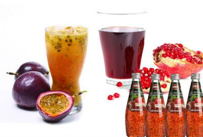 Passion fruit Guava Beverage Processing Line 2