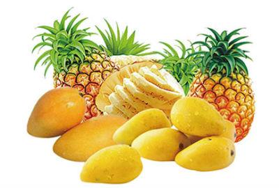 Mango Pineapple Juice Processing Line 2