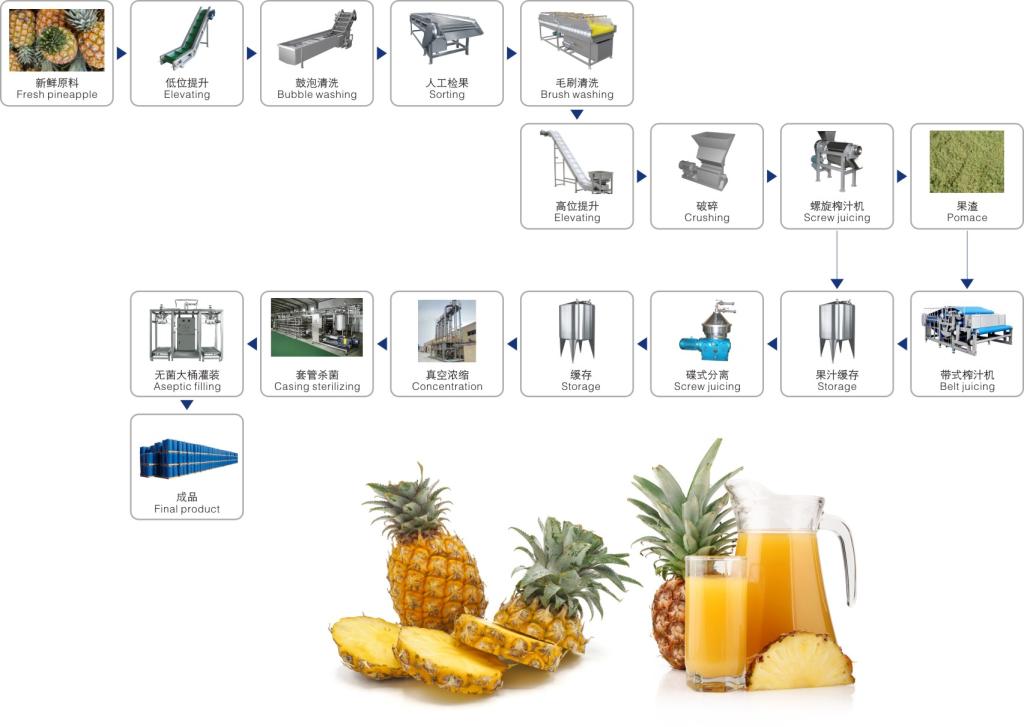 Mango Pineapple Juice Processing Line 3