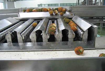 Mango Pineapple Juice Processing Line 4