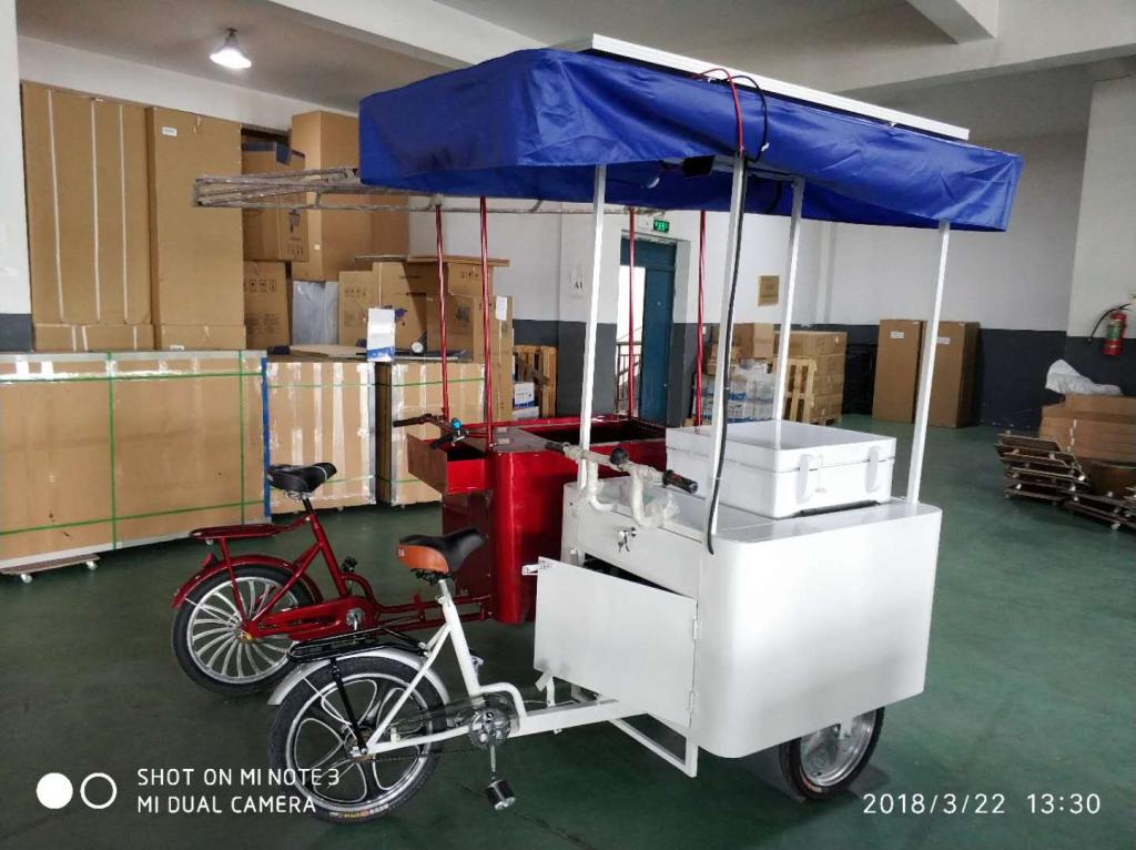 208 Liters Solar Ice Cream Tricycle 4
