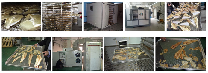 Higher Dehumidify Fish Dry Machine 4