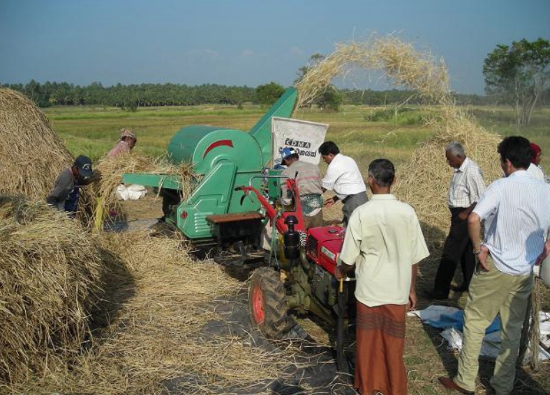 Grain Thresher Machine 5