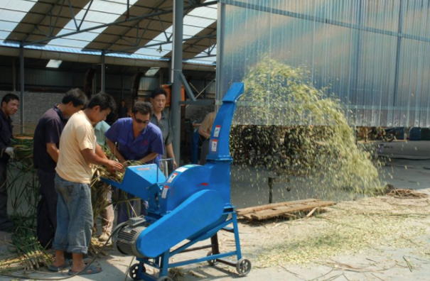 Chaff Cutter Machine 4