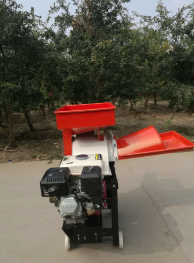 Chaff Cutter Grinder 3