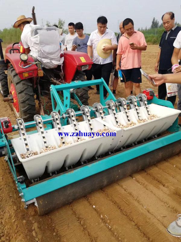 DB Series Garlic Planter