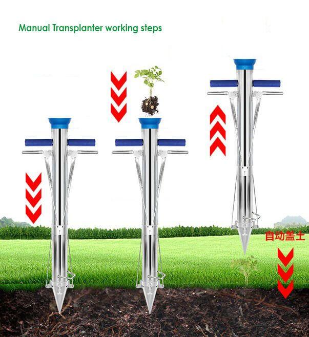 Handy Seedling Transplanter