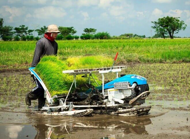 Walk-Behind Rice Transplanter
