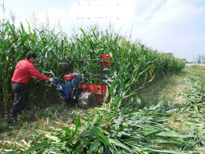 Mini Corn Harvester