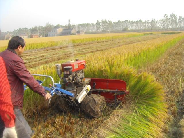 Portable Rice Harvester