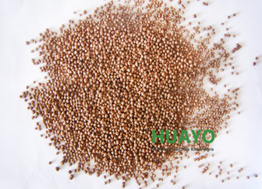 Floating Fish Feed Pellet Machine