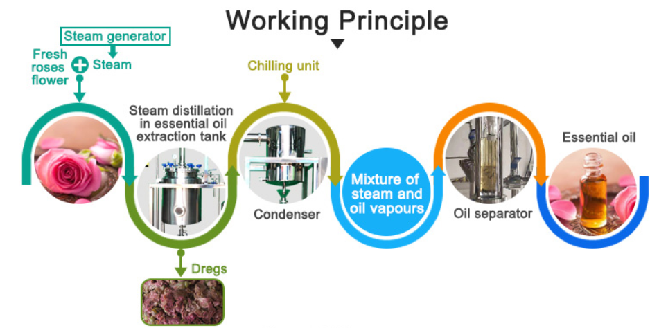 essential oil distillation equipment