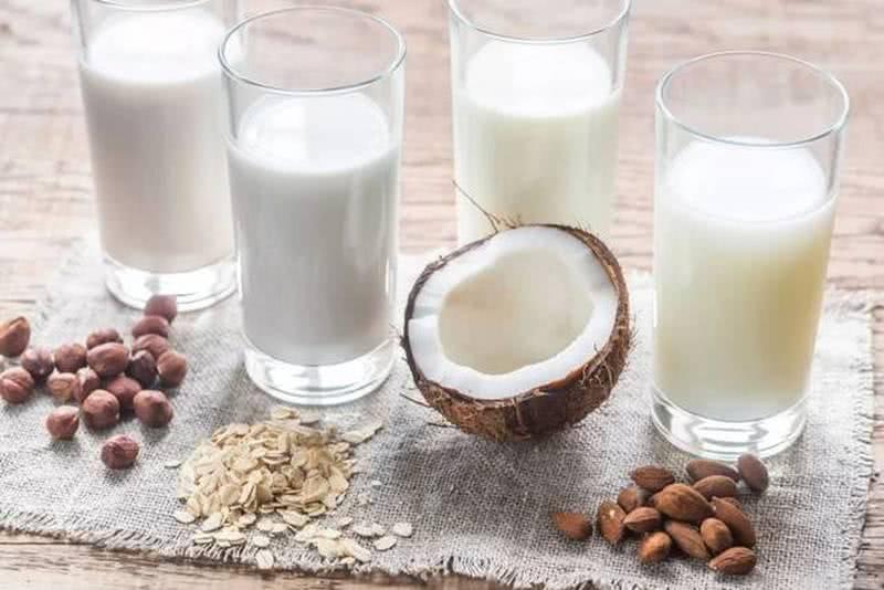nuts milk Plant-based milk production line