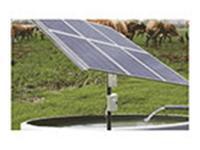 Solar Powered Water Pump