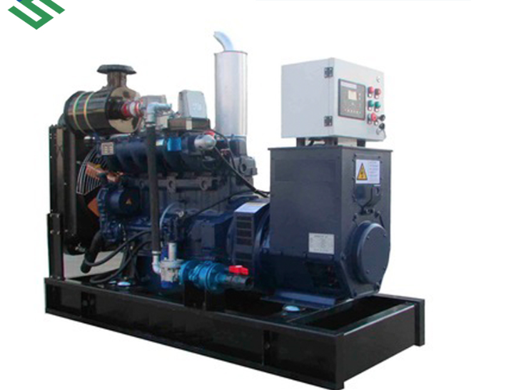 Biogas Power Generator