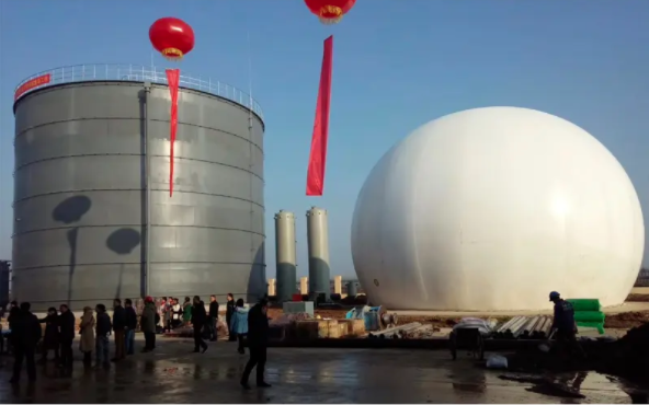 Biogas Anaerobic Digester Plant for Pig Manure Treatment