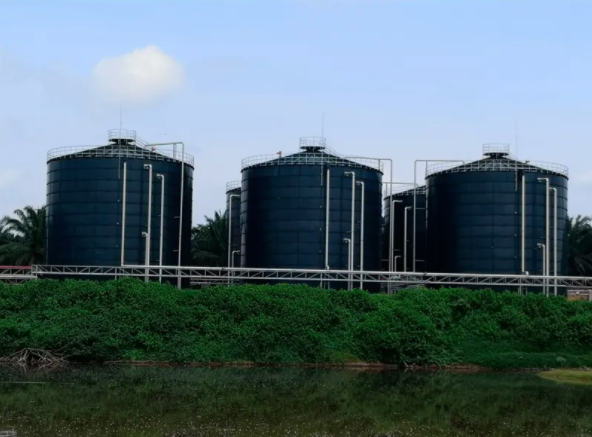 Biogas Anaerobic Digester Plant for Pig Manure Treatment