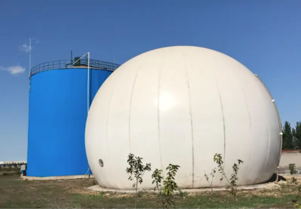 Biogas Anaerobic Digester Plant for Pig Manure Treatment