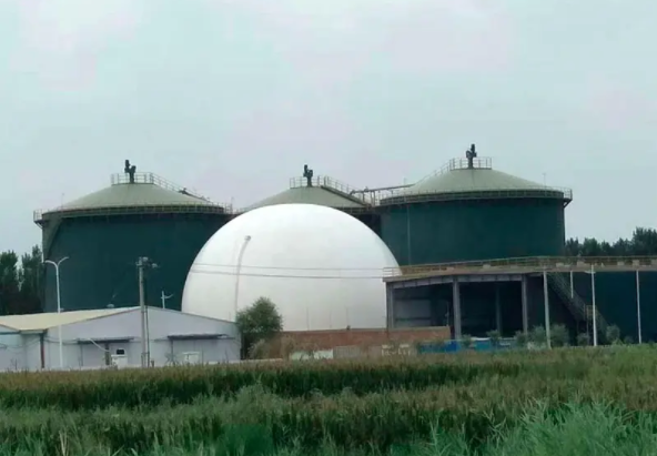 Biogas Anaerobic Digester Plant for Pig Manure Treatment