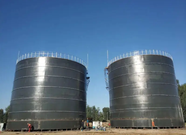 Biogas Anaerobic Digester Plant for Pig Manure Treatment