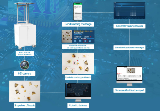 Intelligent pest monitoring system