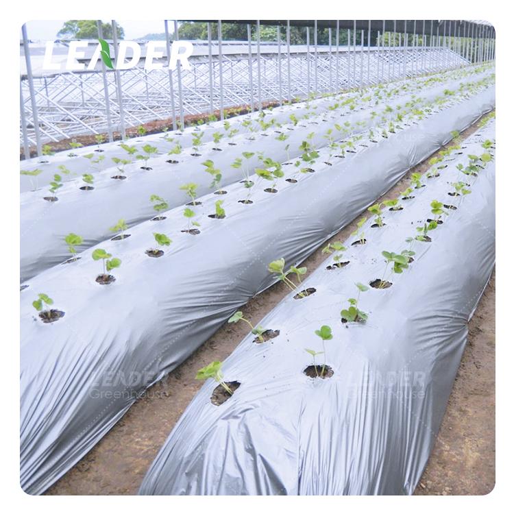 Greenhouse Plastic Mulch