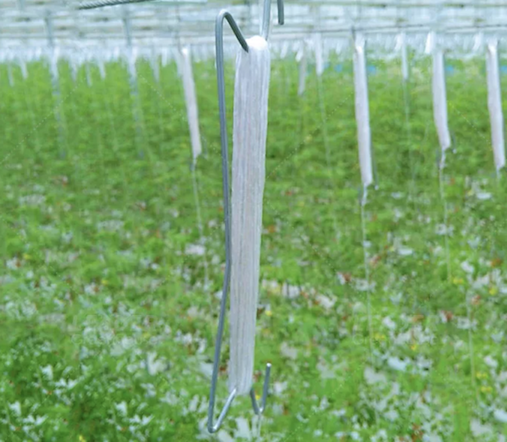 Greenhouse galvanized planting hooks vegetable hanging tomato M hook with pp twine