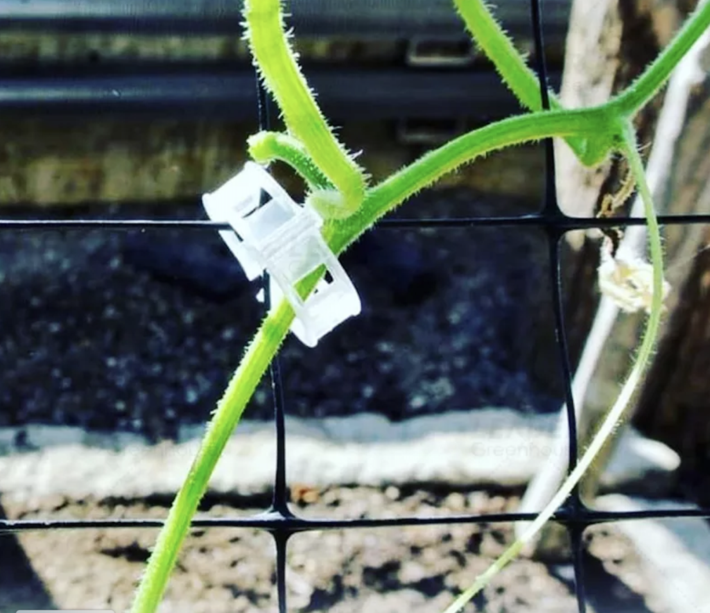 white black UV plastic branches grafting clip