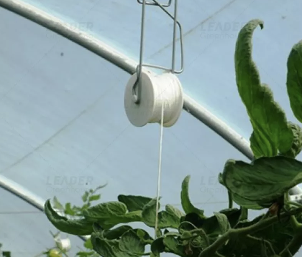 Tunnel greenhouse planting hanging galvanized wire tomato growing support roller hook with biodegradable twine