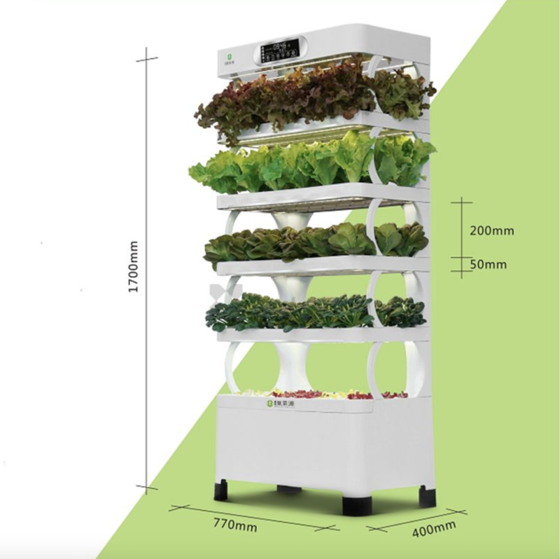 Intellect Vegetable Hydroponic machine