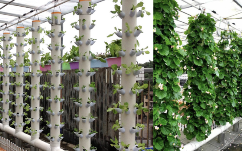 New type plastic Vertical Hydroponic planter for vegetable