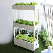 Three Layer NFT hydroponic box