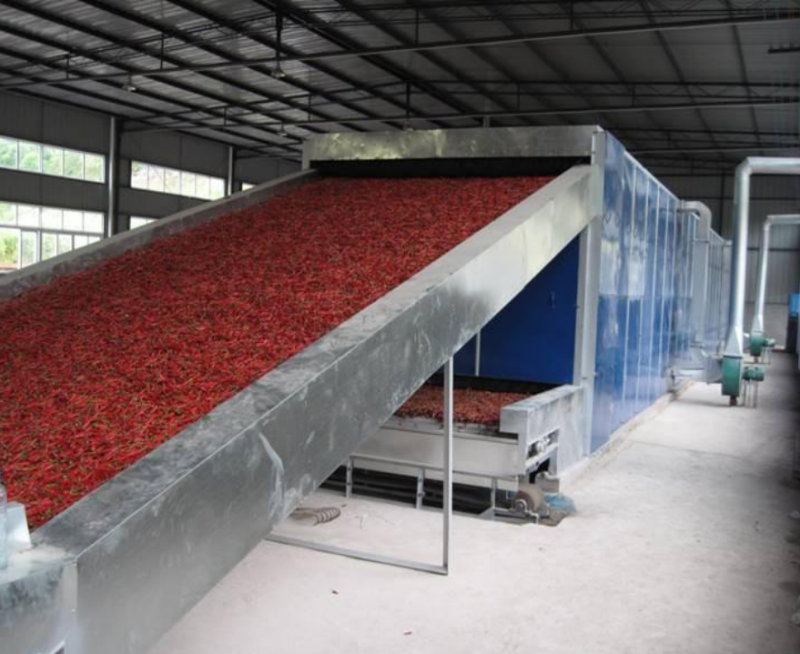 Dehydrated fruit vegetable processing line 1