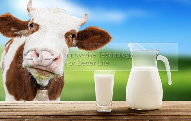 Fresh Milk Pasteurizer -4