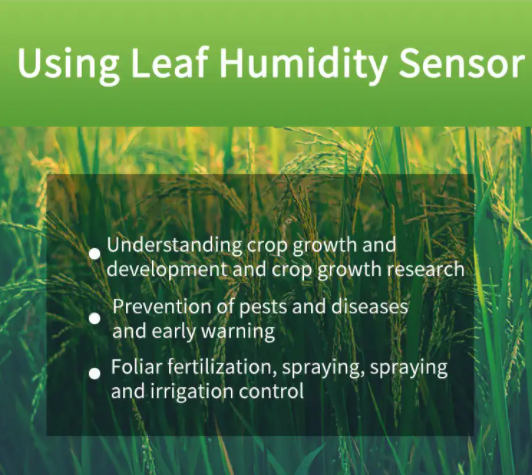 Leaf humidity sensor high accuracy favorable price 6