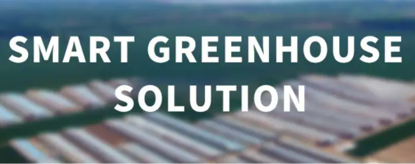 Smart Greenhouse Solution 18