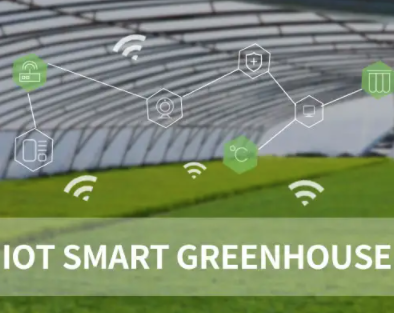 Smart Greenhouse Solution 19