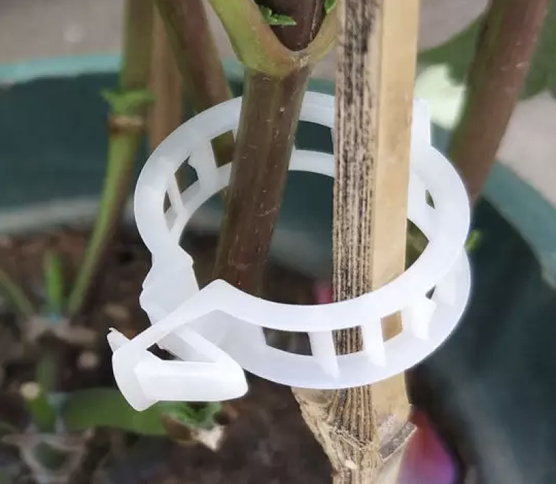 white black UV plastic branches grafting clip