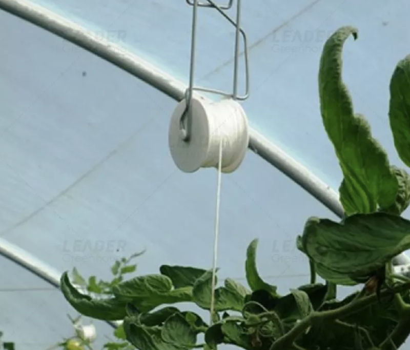 Tunnel greenhouse planting hanging galvanized wire tomato growing support roller hook with biodegradable twine