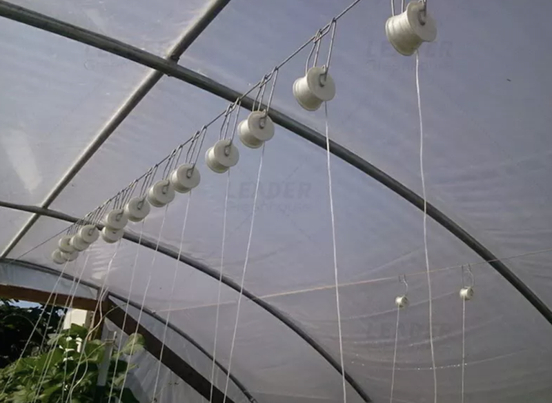 Tunnel greenhouse planting hanging galvanized wire tomato growing support roller hook with biodegradable twine
